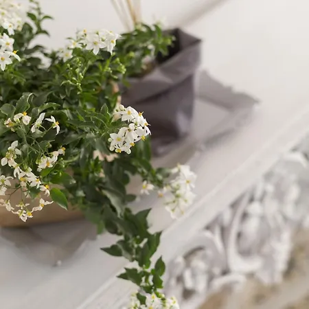 Laguna724 Bed & Breakfast Venedig