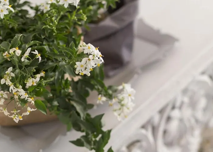 Laguna724 Bed & Breakfast Venetië